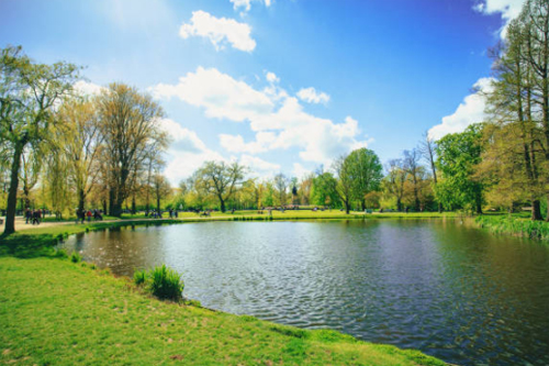 Algea-Control-Ponds1