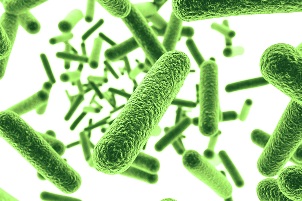 bacteria-photo-scaled-resize