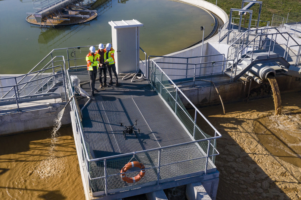 rendering-plant-resize