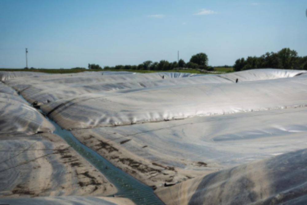 sludge-remendation-2-resize1